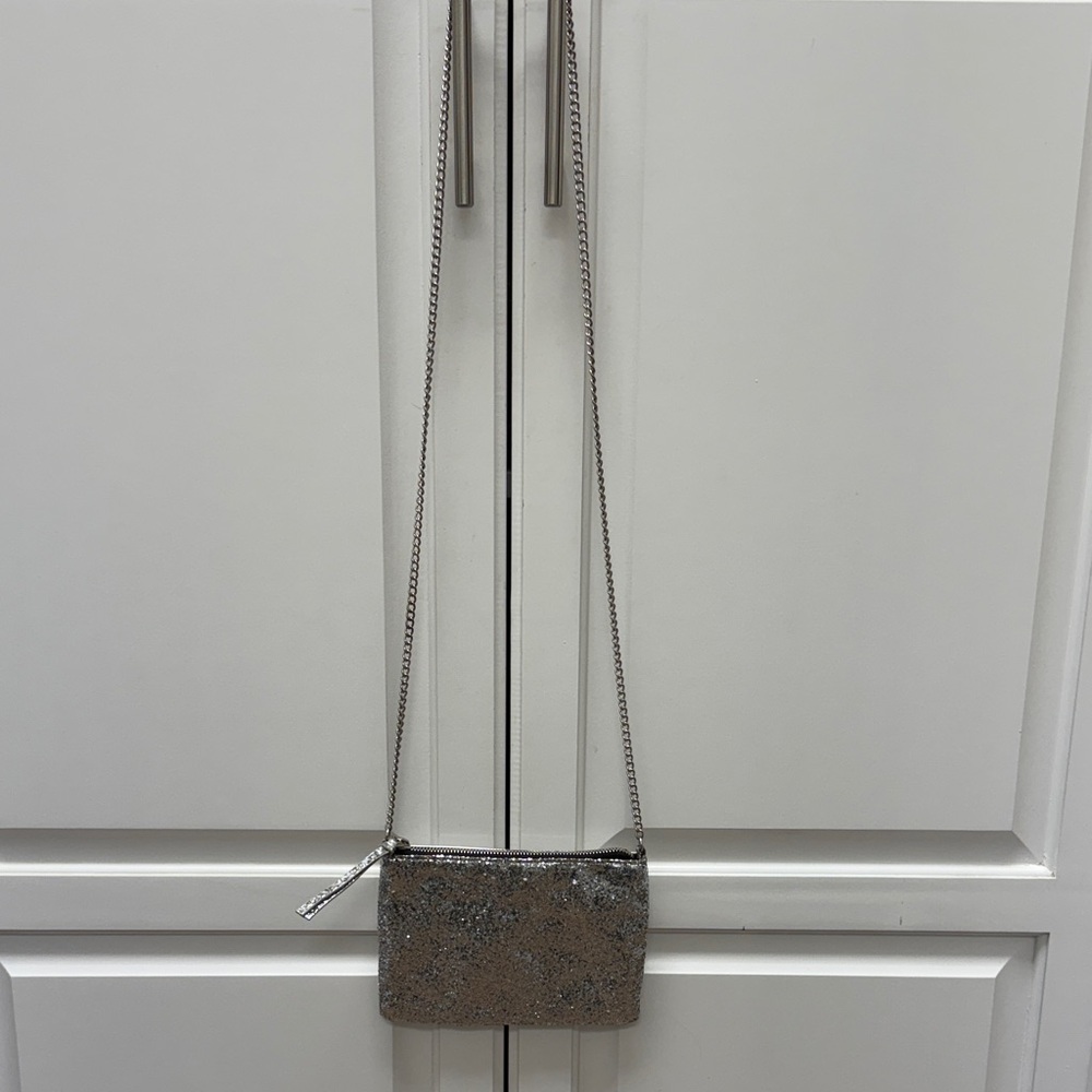 Divided Silver Crossbody Bag